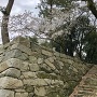 辰巳櫓跡石垣