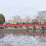 岩槻城址公園の橋