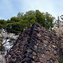 武田神社 石垣 (左近の桜)