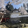 桜吹雪の東隅櫓