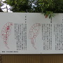 久能山の歴史がわかる案内板