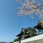 泉蔵寺は谷を見下ろす高台に有ります。