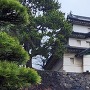富士見櫓(南西よりから)