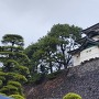 富士見櫓と石垣(南から)