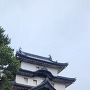 富士見櫓と石垣(南西よりから)