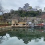 水面に映る姫路城(鷺の清水近くから)
