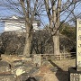 亀山城趾の碑と多門櫓（左）