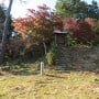 二の丸土塁（多聞寺）