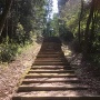 和田神社から城跡へ向かう階段