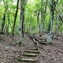 比婆神社表参道