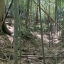 西側郭の妙見神社裏の空堀