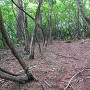 茶臼山城 南尾根の先の平坦地