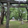 本丸千畳敷と田村神社