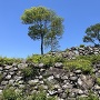 主郭と天守台石垣