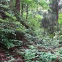 池田氏城館 城館跡南の空堀