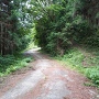 登城口（右側の山道）