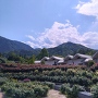 粟倉山城遠景