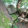 小丸城 穴蔵の布積石垣