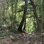 鷲神社近くの虎口