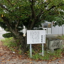 八坂神社と案内板