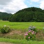 中出山城 遠景（北より）