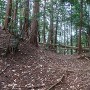 中出山城 主郭南の堀切