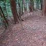 中出山城 堀切の土塁に利用された古墳