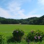 永井氏城 遠景（北より）