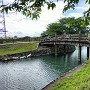 公園水路にかかる木橋