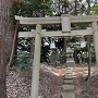 本丸跡に鎮座する咲邪姫神社