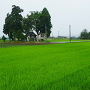 主郭跡遠景