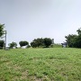 天童山公園