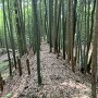 本丸を囲む土塁