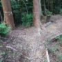 野田城 西尾根（中央公園ルート）の堀切