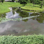 池泉庭園