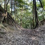 釜屋の壇と羽子の丸間の堀切