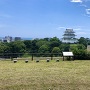 八幡山古郭東曲輪