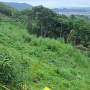 登城道脇の深い谷