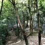 北からの登城道