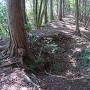 中山城 尾根道の穴