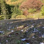 主郭と標柱