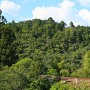 野原城 高山本線越しの遠景（南より）