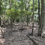 北野神社裏の主郭跡