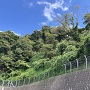 本館前からの城址風景