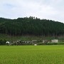 吉田城 遠景（南より）