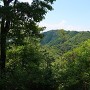 北之庄城 城址から見た八幡山城