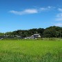 大草城 遠景（南より）