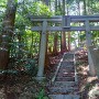 登城王大神の鳥居