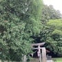 西金砂神社山頂の鳥居