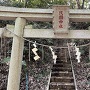 浅間神社鳥居